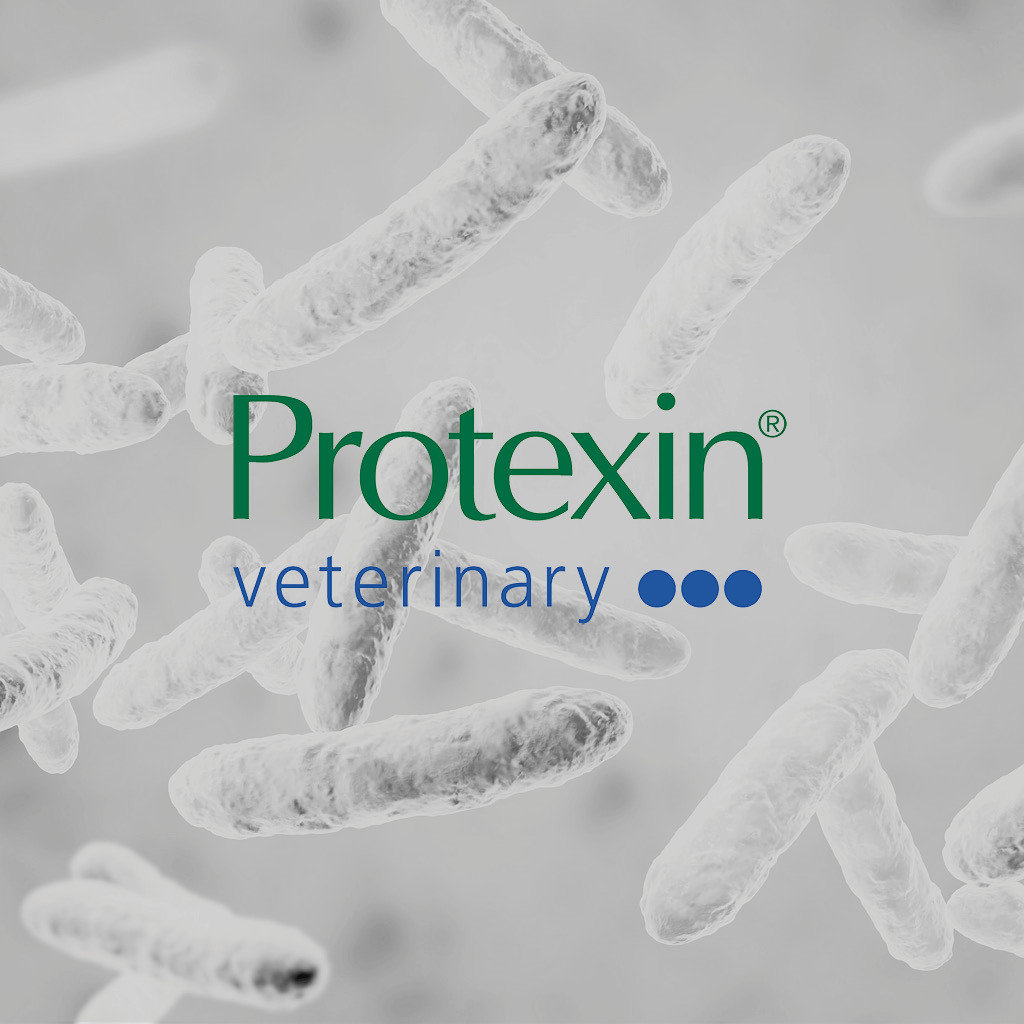 Protexin