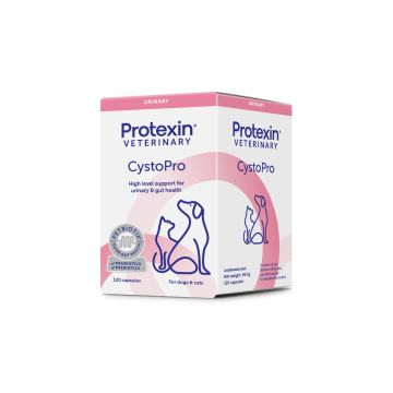 CystoPro 120 kapsler VET