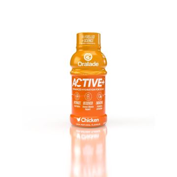 Oralade Active m. Kylling 250ml 