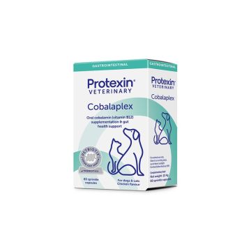 Cobalaplex 60 stk. caps VET