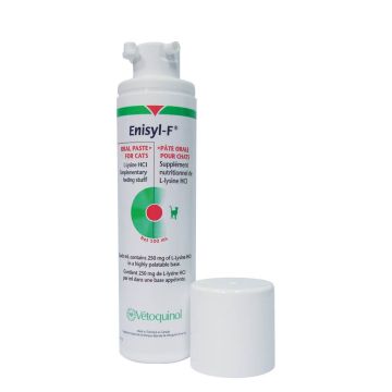 Enisyl-F 100 ml VET