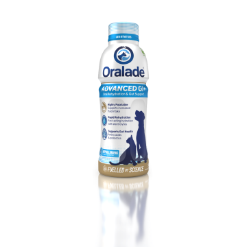 Oralade GI+ Hund/Kat 500 ml VET