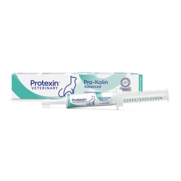 Pro-Kolin Advanced KAT 15 ml VET 