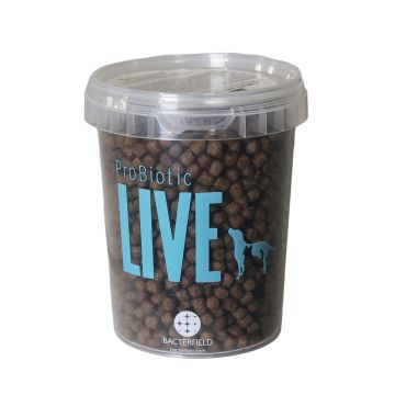 PRØVE - Live Kat Kitten